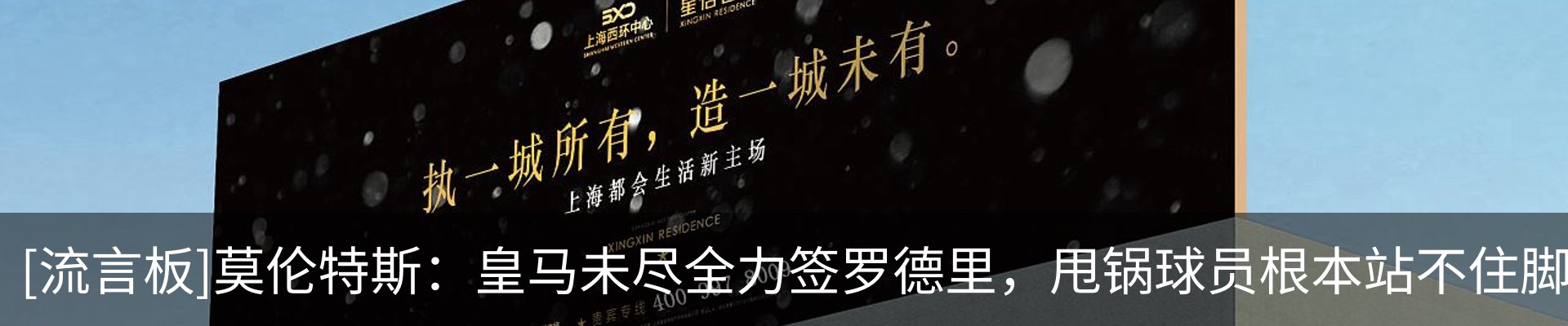 新闻动态